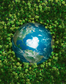 Beihai HKC greenhouse gas emissions report